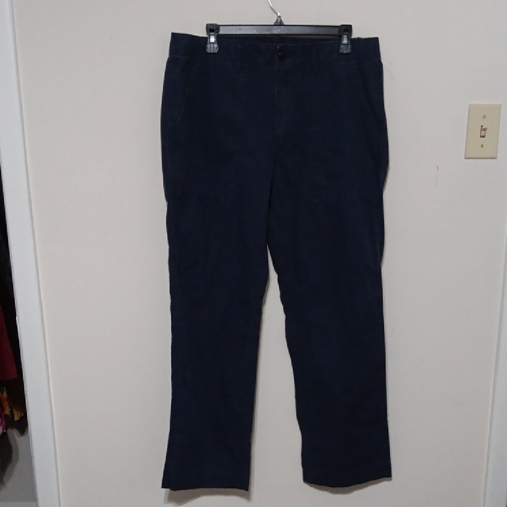 GAP Men's Dark Blue Pants